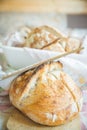 Freshly cooked white bread still in the bread pan Royalty Free Stock Photo