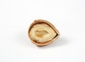 Freshly cracked hazelnut Royalty Free Stock Photo