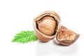 Freshly cracked hazelnuts on a white background with a green leaf Royalty Free Stock Photo