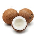 Freshly cut coconuts revealing white interior isolated on white background Royalty Free Stock Photo