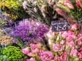 Freshly cut flowers for sale Royalty Free Stock Photo