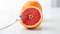 Freshly cut grapefruit half Royalty Free Stock Photo