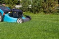 Freshly cut green grass Royalty Free Stock Photo