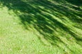 Freshly cut green lawn grass in a city park on a bright sunny day. Top view of bright grass. Shade from trees Royalty Free Stock Photo