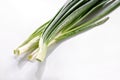 Freshly cut  green onions bunch close-up on white background Royalty Free Stock Photo