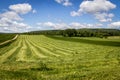 Freshly cut hay field Royalty Free Stock Photo