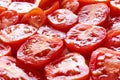 Freshly cut juicy red cherry tomatoes Royalty Free Stock Photo