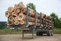 Freshly cut logs on trailer Royalty Free Stock Photo