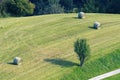 Freshly cut meadow with hay bales in rural environment Royalty Free Stock Photo