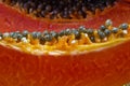 Freshly Cut Papaya Fruit Closeup
