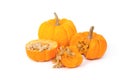 Freshly cut pumpkin and seeds Royalty Free Stock Photo