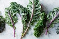 Freshly cut purple Kale leaves on a light textured background Royalty Free Stock Photo