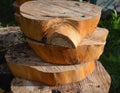 A stack of freshly cutround sections of a trunk of an apple tree in an orchard