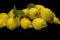 Freshly cut splendid lemons on black background