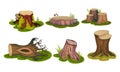 Freshly-cut Stubs and Moss-covered Stumps Standing on Green Patch Vector Set