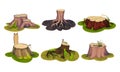 Freshly-cut Stubs and Moss-covered Stumps Standing on Green Patch Vector Set