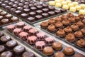 freshly dipped chocolates on setting trays Royalty Free Stock Photo