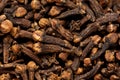 Freshly dryed clove spice texture close up