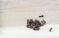 freshly dryed clove spice texture close up on wooden table.