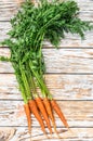 Freshly dug fresh carrots. White background. Top view Royalty Free Stock Photo