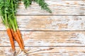 Freshly dug fresh carrots. White background. Top view. Copy space Royalty Free Stock Photo