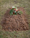 Freshly Dug Grave with Cemetery Flowers on Top of Ground Royalty Free Stock Photo