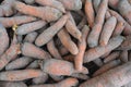 Freshly dug natural carrots in the sand Royalty Free Stock Photo