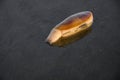 Freshly dug up razor clam laying on the wet sand on the beach at Ocean Shores, Washington State, USA