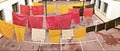 Freshly dyed cotton hanged for drying