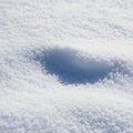 Freshly fallen snow covers the ground creating a soft powdery Royalty Free Stock Photo