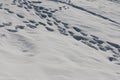 Freshly fallen soft snow with foot prints Royalty Free Stock Photo