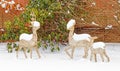 freshly fallen white Winter snow on three wooden reindeer in snow