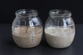 Freshly fermented rye and wheat starters in glass jars