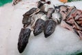 Freshly Fish Kept on Ice for Sale on the Market Counter