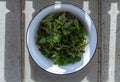Freshly foraged organic healthy green nettle leaves in a bowl on cement floor
