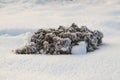 Freshly frozen molehill in winter during the day, side view