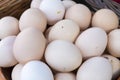 Freshly gathered eggs in a basket