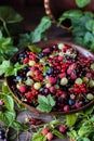 Freshly gathered juicy colorful berries, mix of red currants, black currants, raspberries, white currants, blueberries, gooseberri Royalty Free Stock Photo