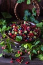 Freshly gathered juicy colorful berries, mix of red currants, black currants, raspberries, white currants, blueberries, gooseberri Royalty Free Stock Photo