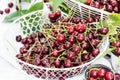 Freshly gathered juicy red cherries in white metal containers closeup , red cherries in garden on white wooden table