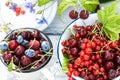 Freshly gathered juicy red currants, cherries, raspberries, blueberries in a white metal plate and cup in garden on sunny day Royalty Free Stock Photo