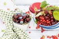 Freshly gathered juicy red currants, cherries, raspberries, blueberries in white plate and cup in garden on sunny day close up Royalty Free Stock Photo