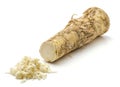 Horseradish Royalty Free Stock Photo
