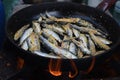 Freshly grilled fish on counter top stall, during seafood festival, street food market