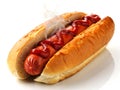 Freshly Grilled Hot Dog Royalty Free Stock Photo