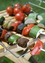 Freshly grilled Shish Kebabs. Grill pan Royalty Free Stock Photo