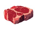 Freshly grilled sirloin steak, juicy and tender