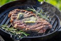 freshly grilled steak Royalty Free Stock Photo