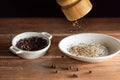 Freshly ground black peppercorns and whole black peppercorns in a white ceramic plate Royalty Free Stock Photo