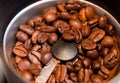 Freshly ground coffee Royalty Free Stock Photo